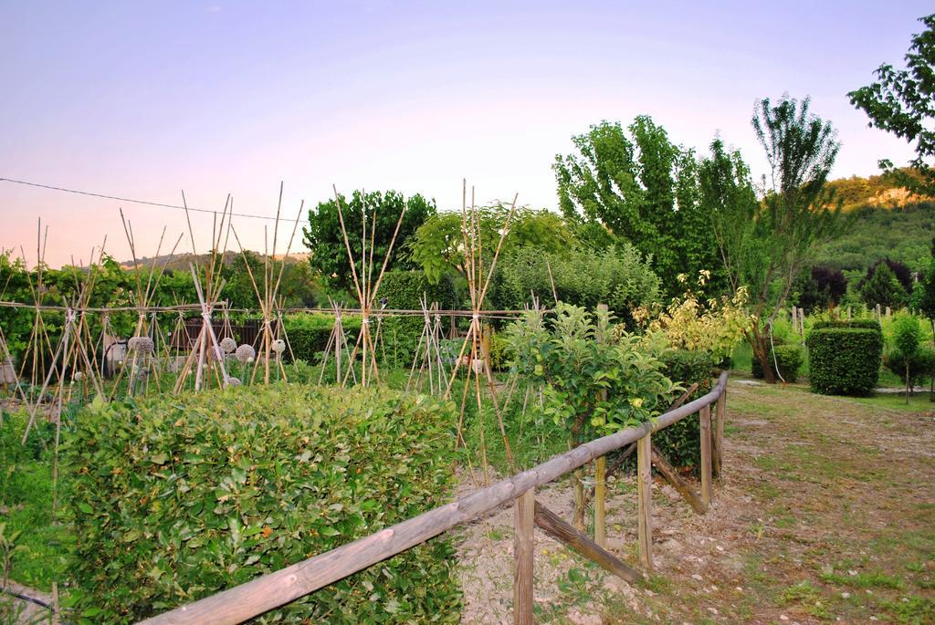 Agriturismo Gli Ippocastani Villa Pergola Exterior foto