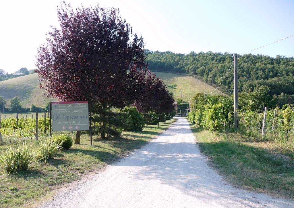 Agriturismo Gli Ippocastani Villa Pergola Exterior foto